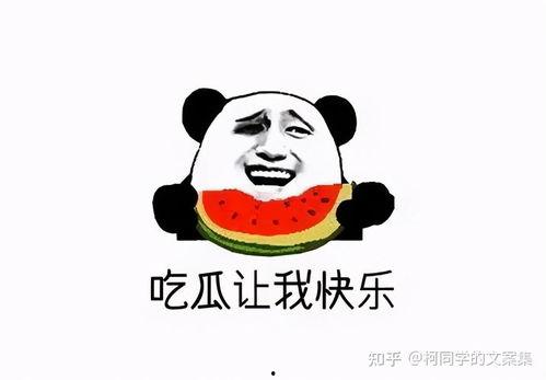 群众吃瓜文案视频,揭秘群众吃瓜文案背后的趣味与智慧 第2张 群众吃瓜文案视频,揭秘群众吃瓜文案背后的趣味与智慧 第2张